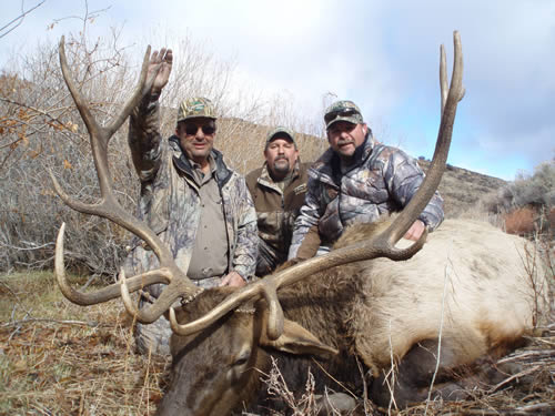 Men with bull elk.